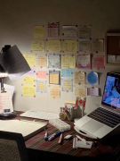 具有2.5万天的使用型财政办理现